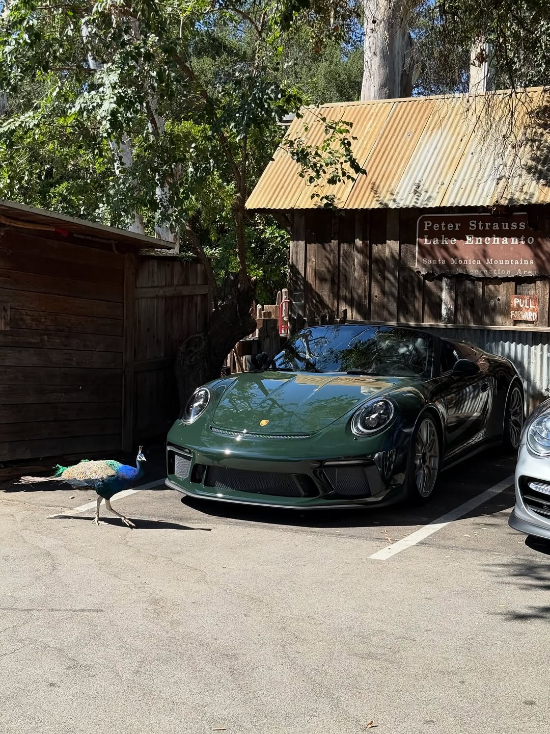 2019 Porsche 911 Speedster
